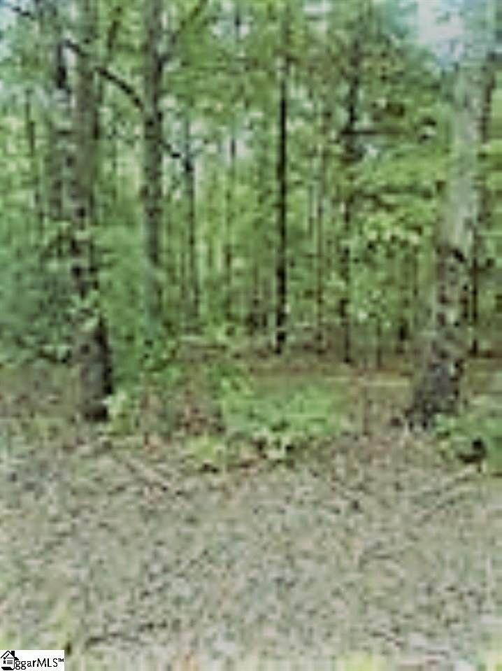 303 Tiger Lane - Photo 1