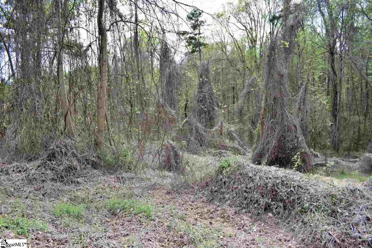 137 Hyder Road - Photo 1