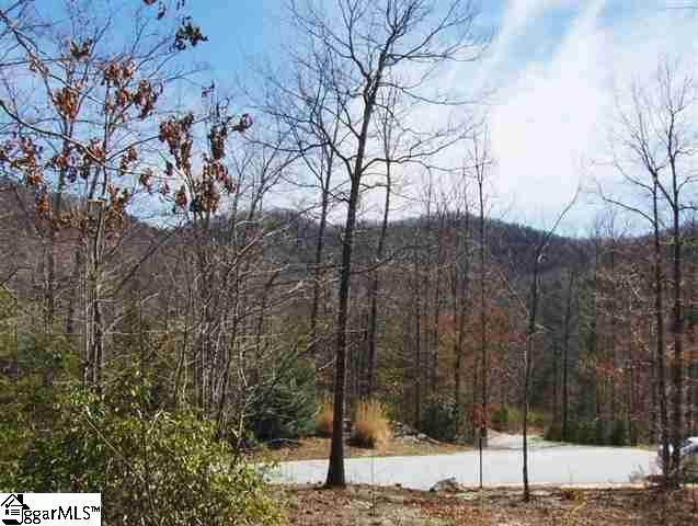 14 Elm Bend Trail - Photo 1