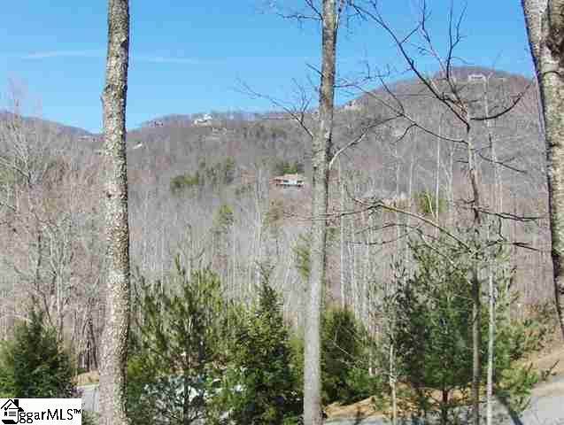 10 Buck Creek Trail - Photo 1