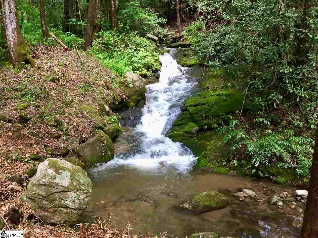 100 Hidden Park Trail - Photo 1