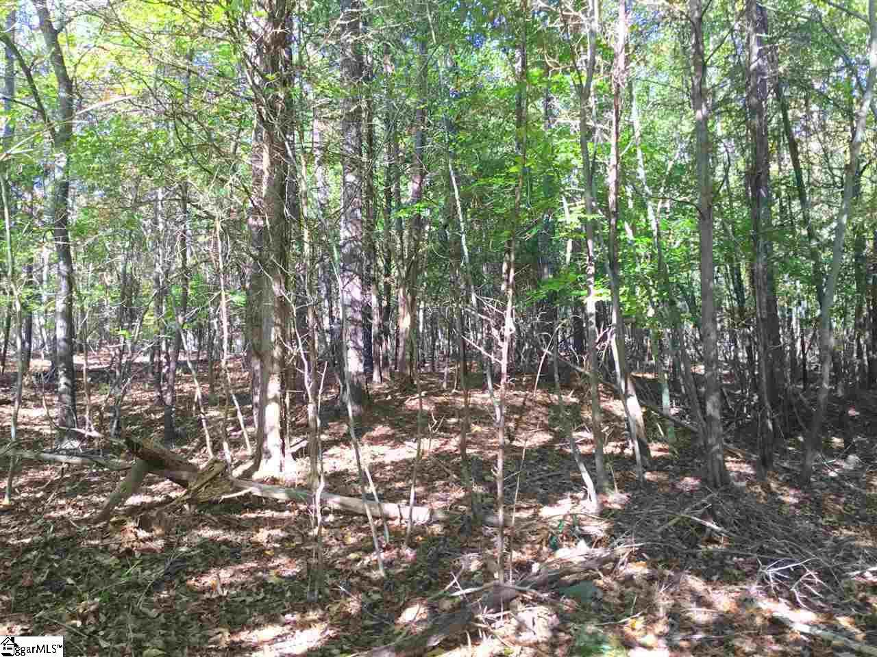 403 Peninsula Drive - Photo 1
