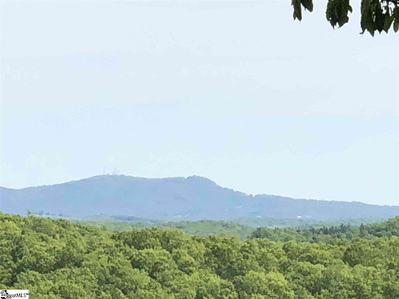 365 Blue Bonnet Trail - Photo 1