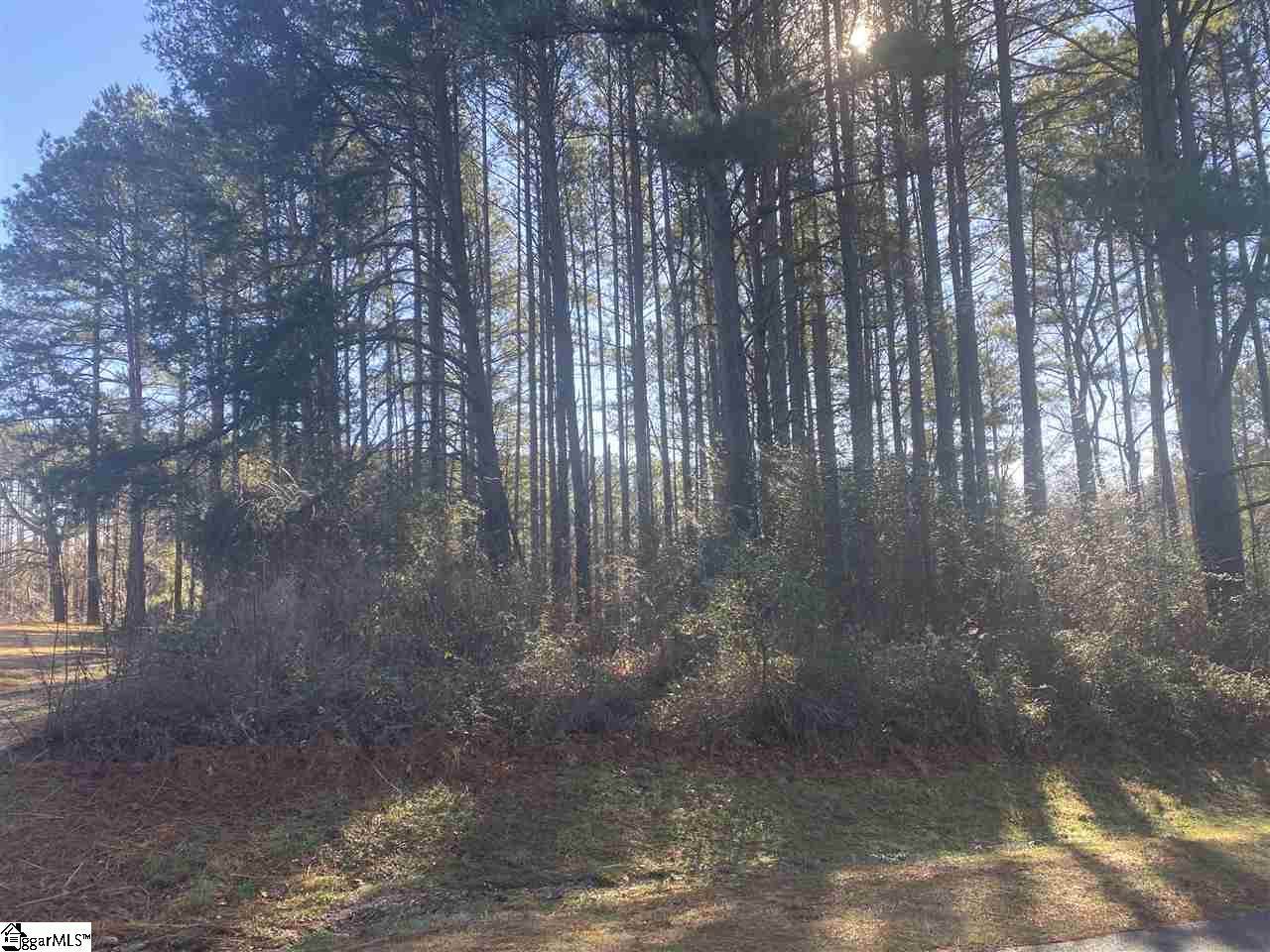 29 Laurelcrest Lane - Photo 1