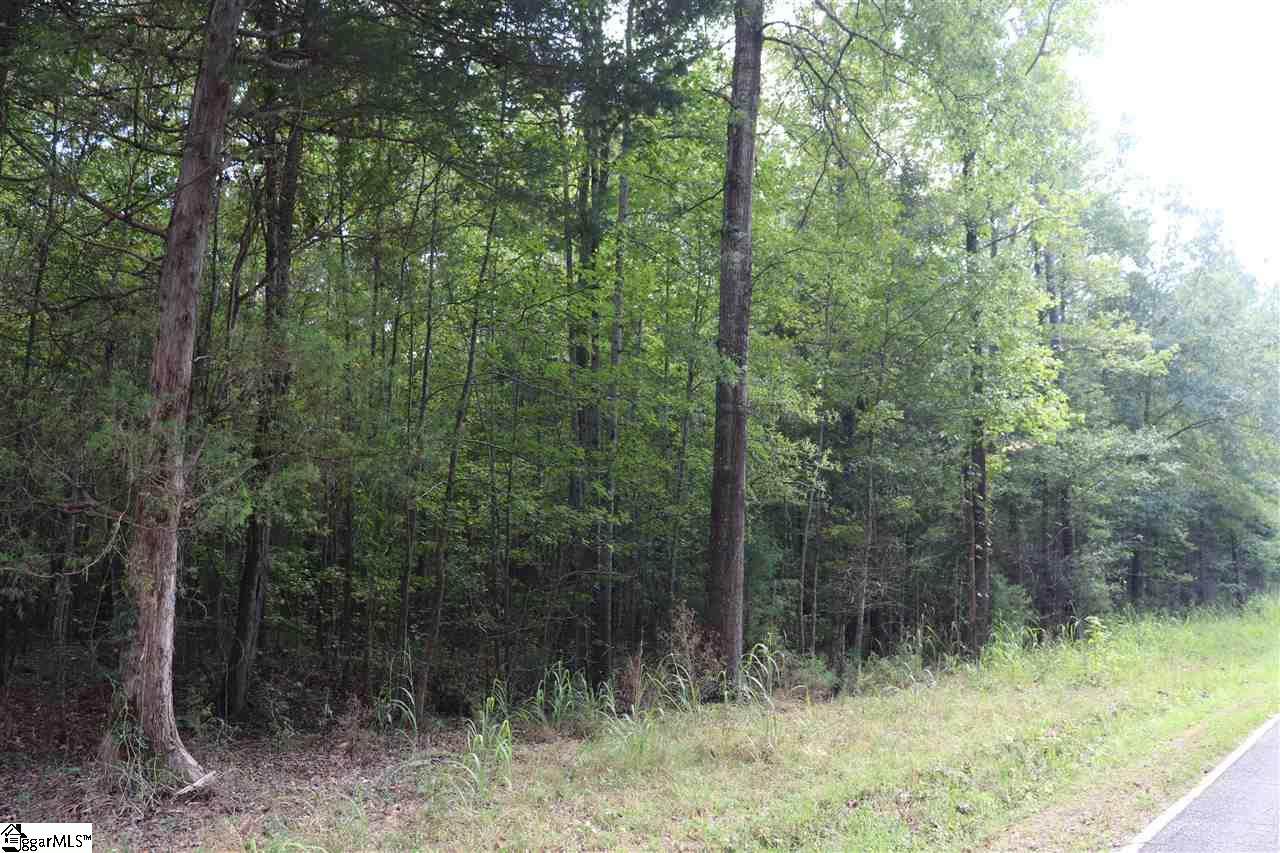 0 Jefferson Davis Road - Photo 1
