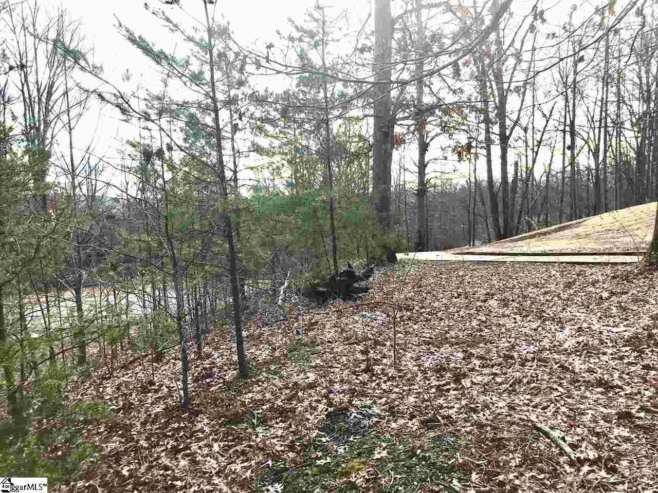 223 Laurel Valley Way - Photo 1
