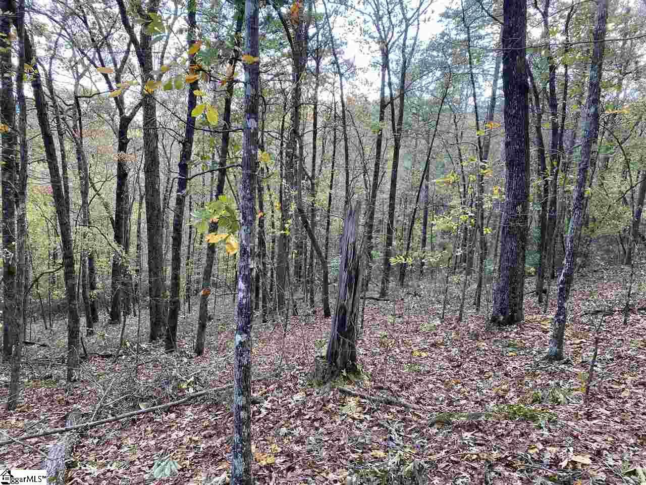 12 Loop Lane - Photo 1