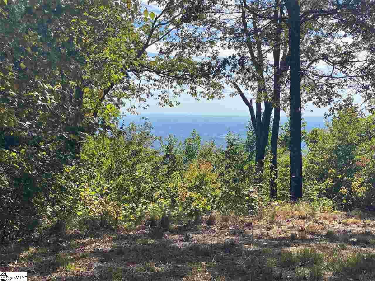 8 Pine Shadow Lane - Photo 1