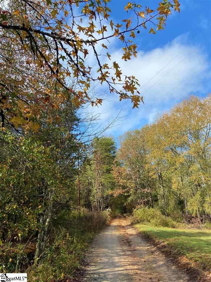 Old Rutherford Road - Photo 1