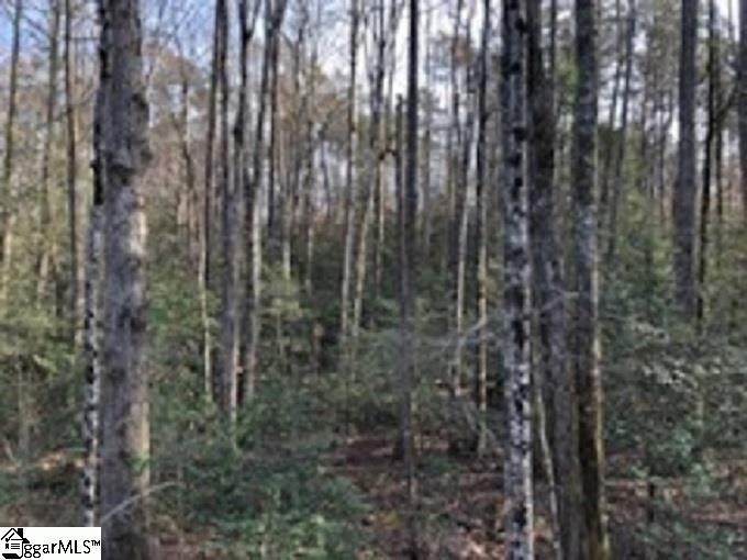 166 Bailey Brown Road - Photo 1