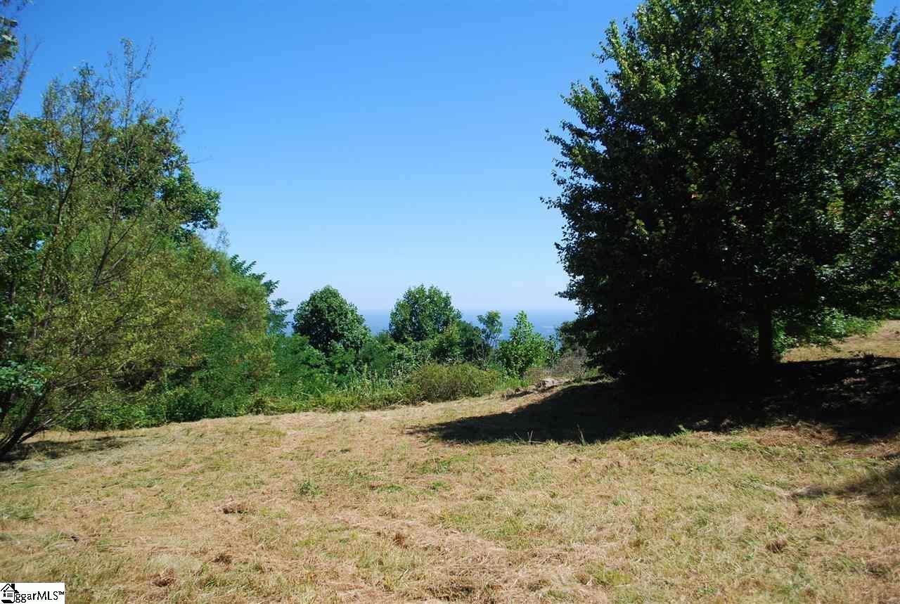 97 The Cliffs Parkway - Photo 1