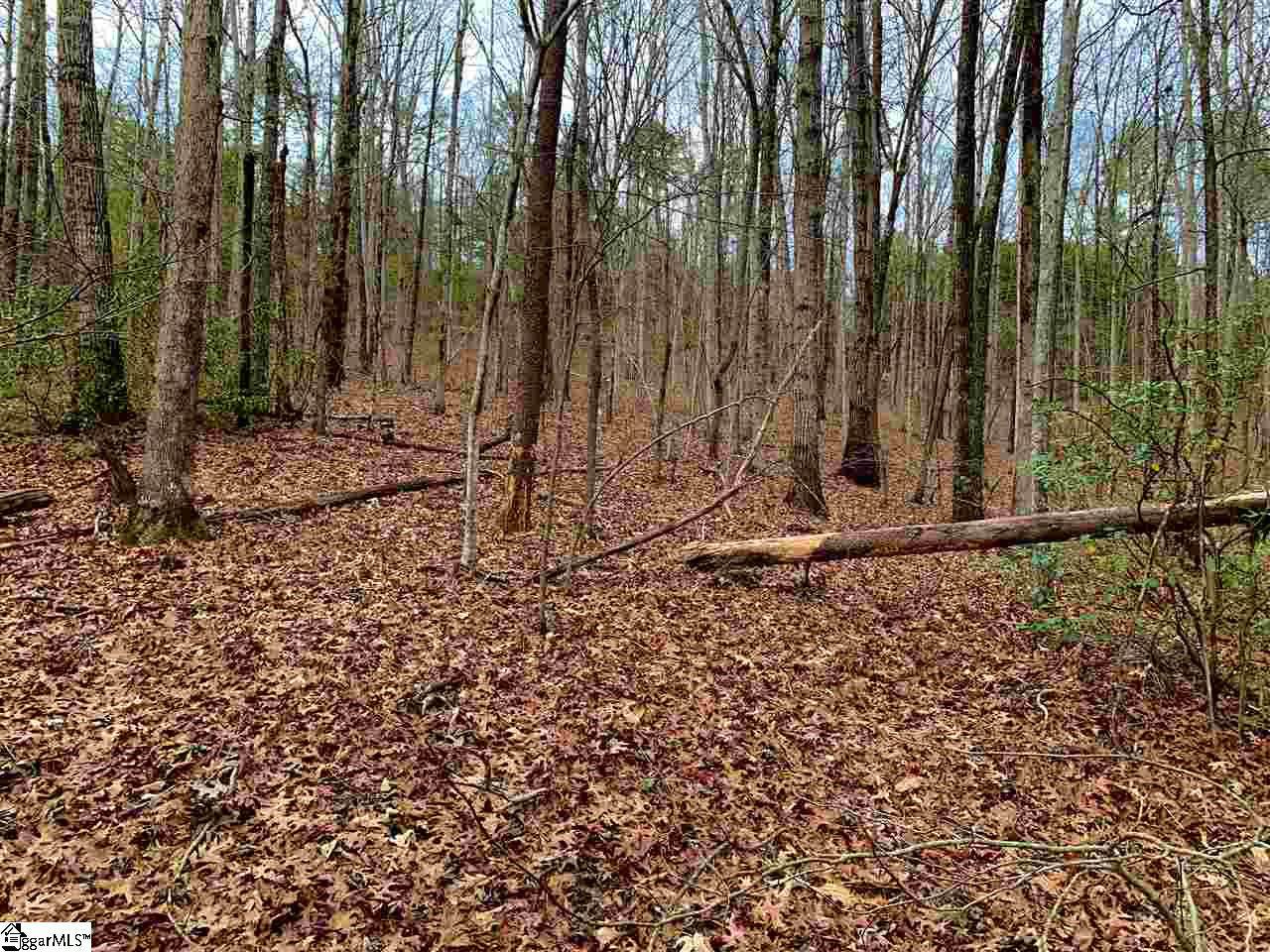 95 Painter Creek Road - Photo 1
