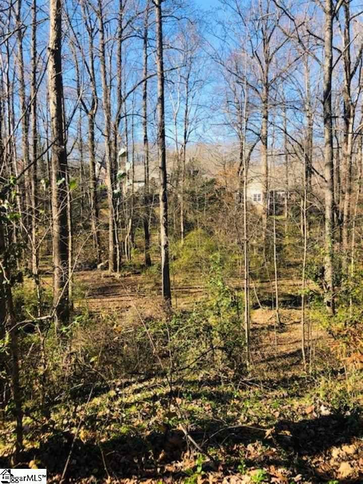 25175 Circle Slope Drive - Photo 1