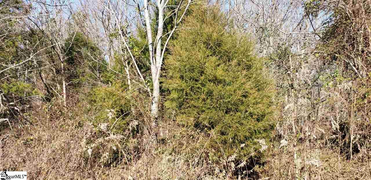 980 Regina Road - Photo 1