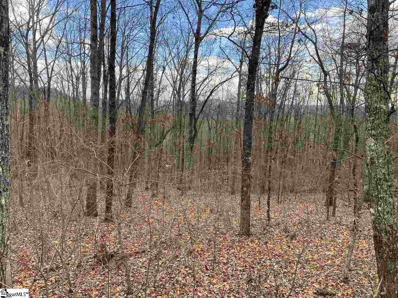 145 Cherokee Rose Trail - Photo 1