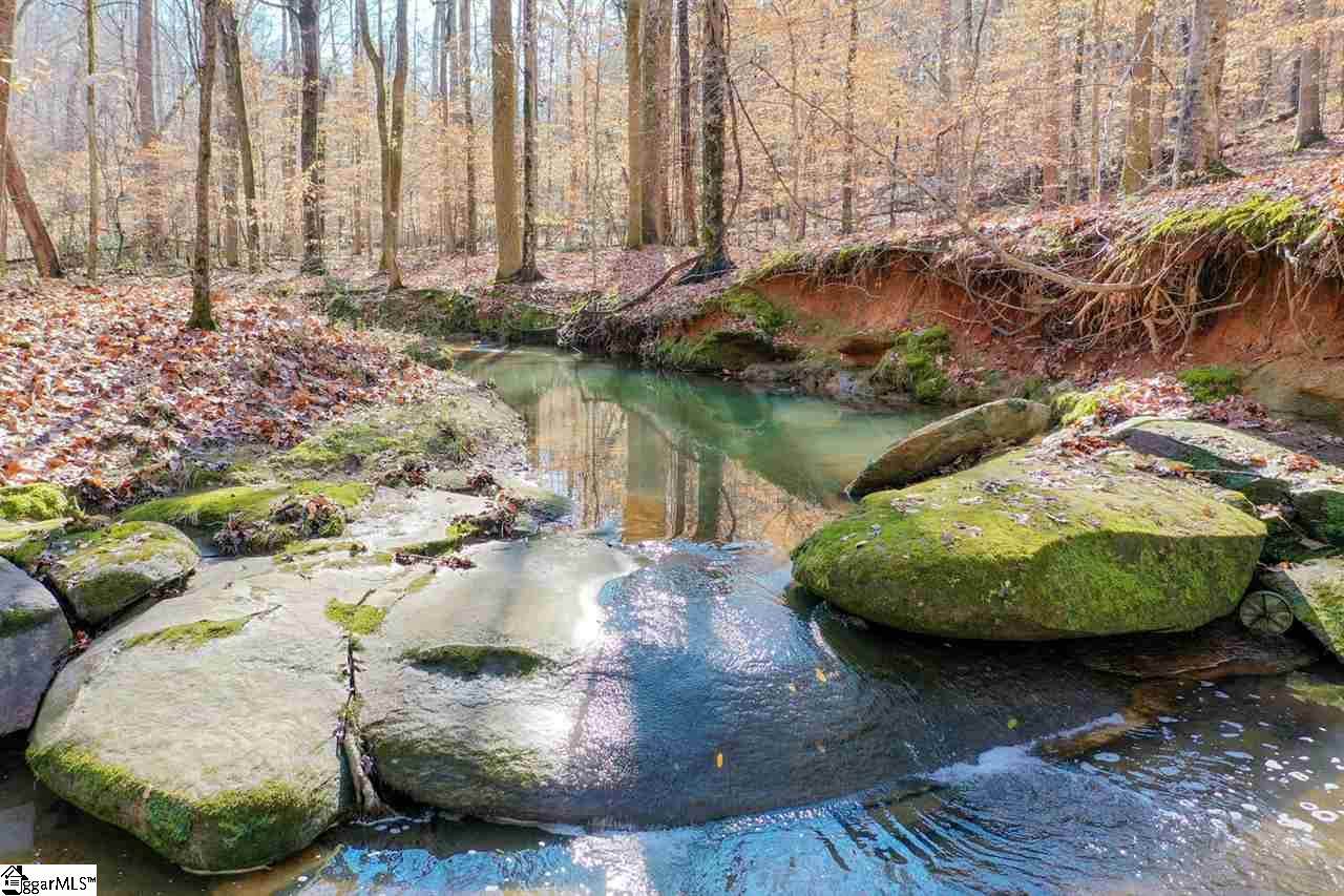 0 Forest Road - Photo 1