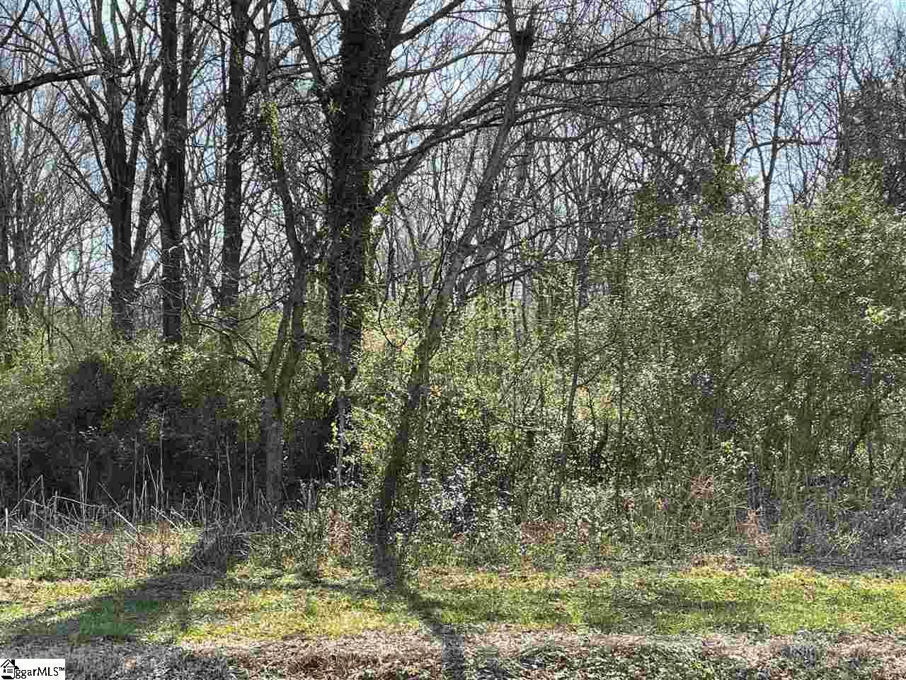 814 Carolina Avenue - Photo 1