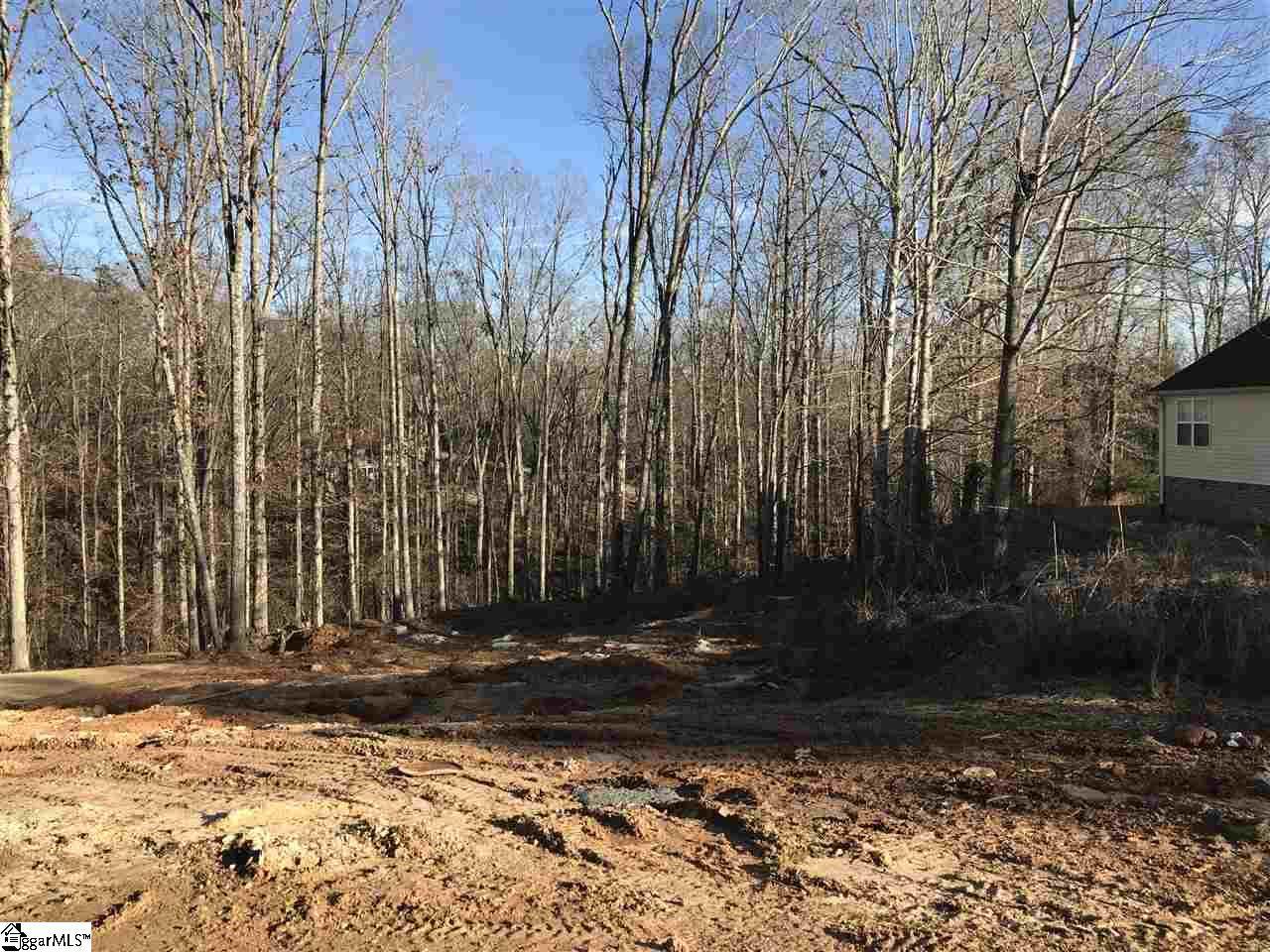 1607 Saluda Lake Road - Photo 1