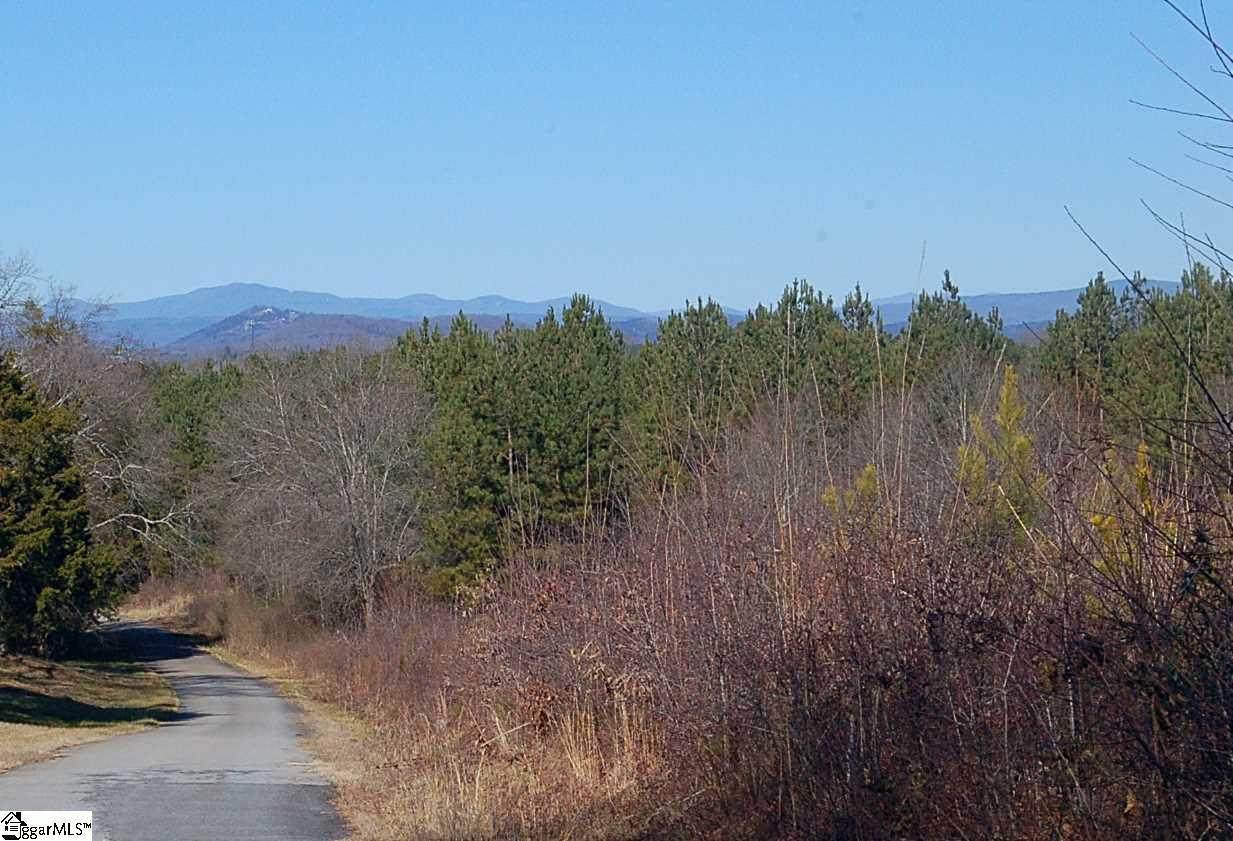 tract 1 Belle Shoals Road - Photo 1