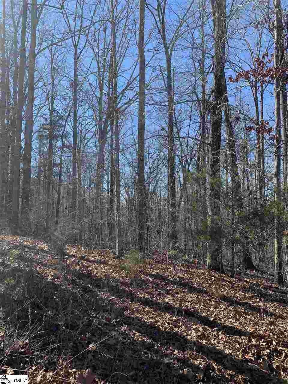 115 Ivy Woods Drive - Photo 1