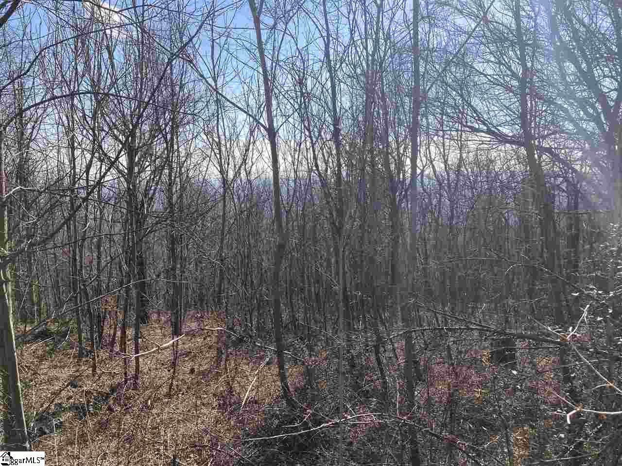 120 May Apple Way - Photo 1