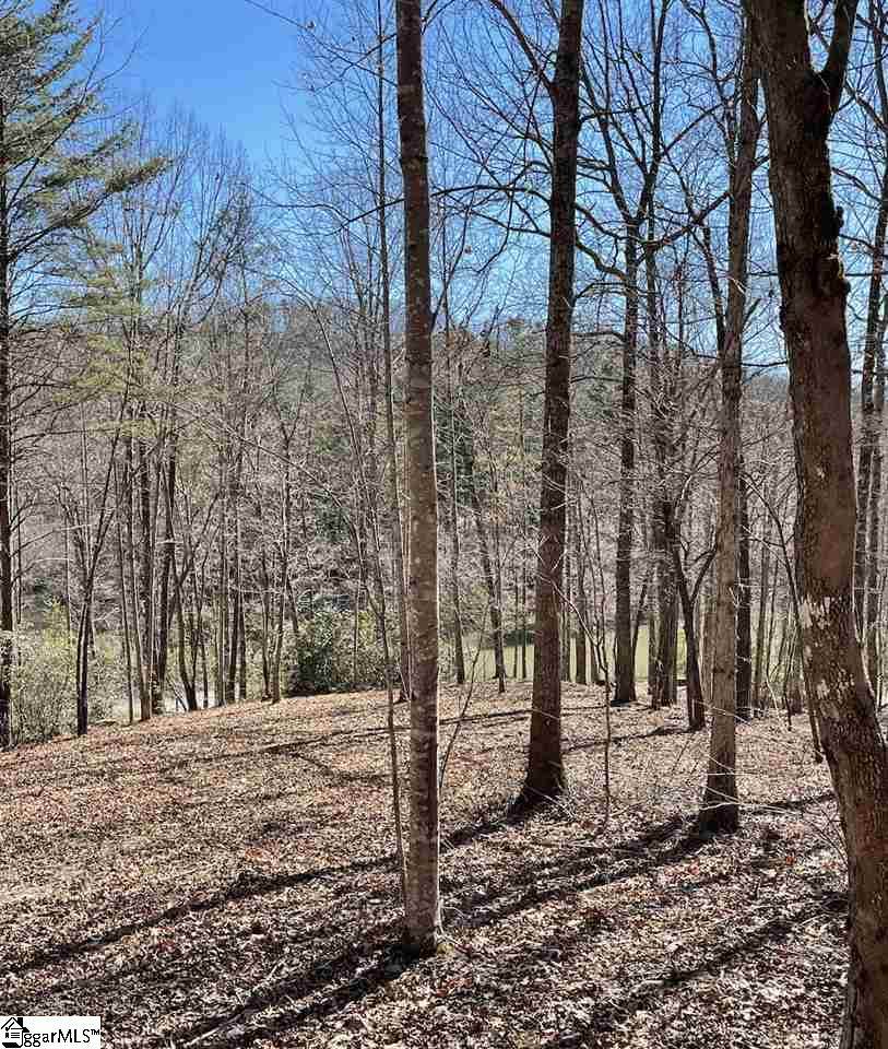 220 Tree Haven Trail - Photo 1