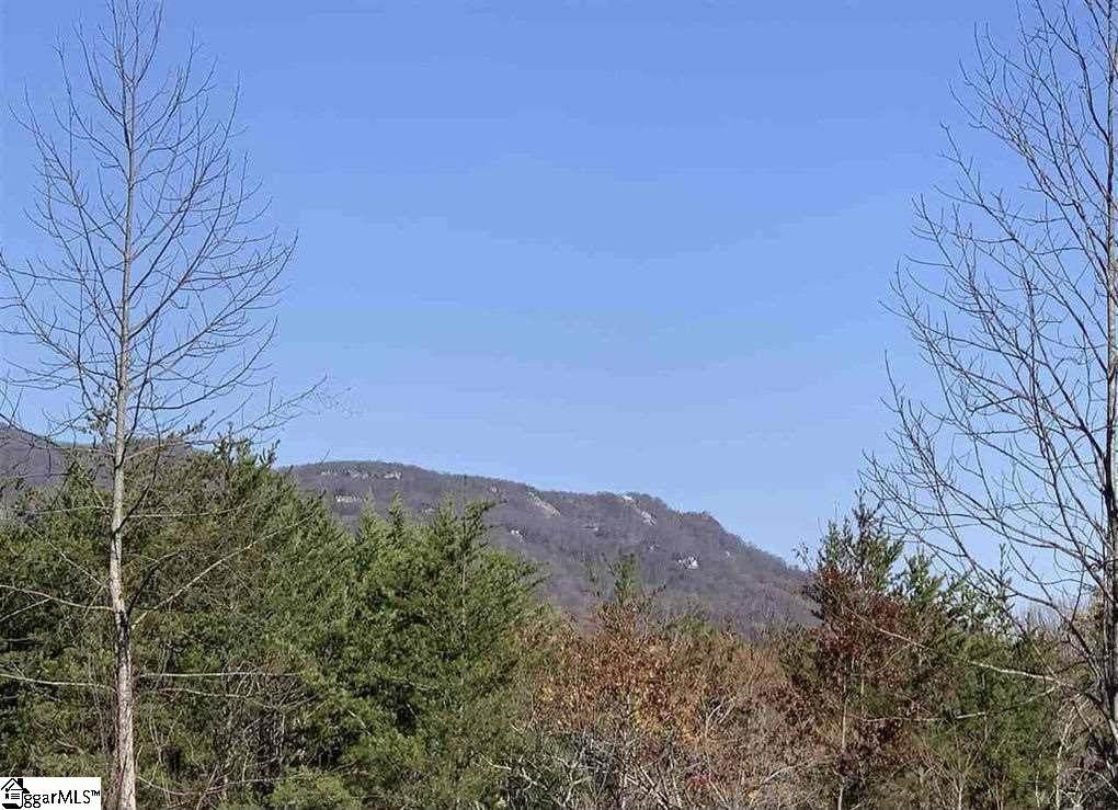 108 Mountain Lake Lane - Photo 1