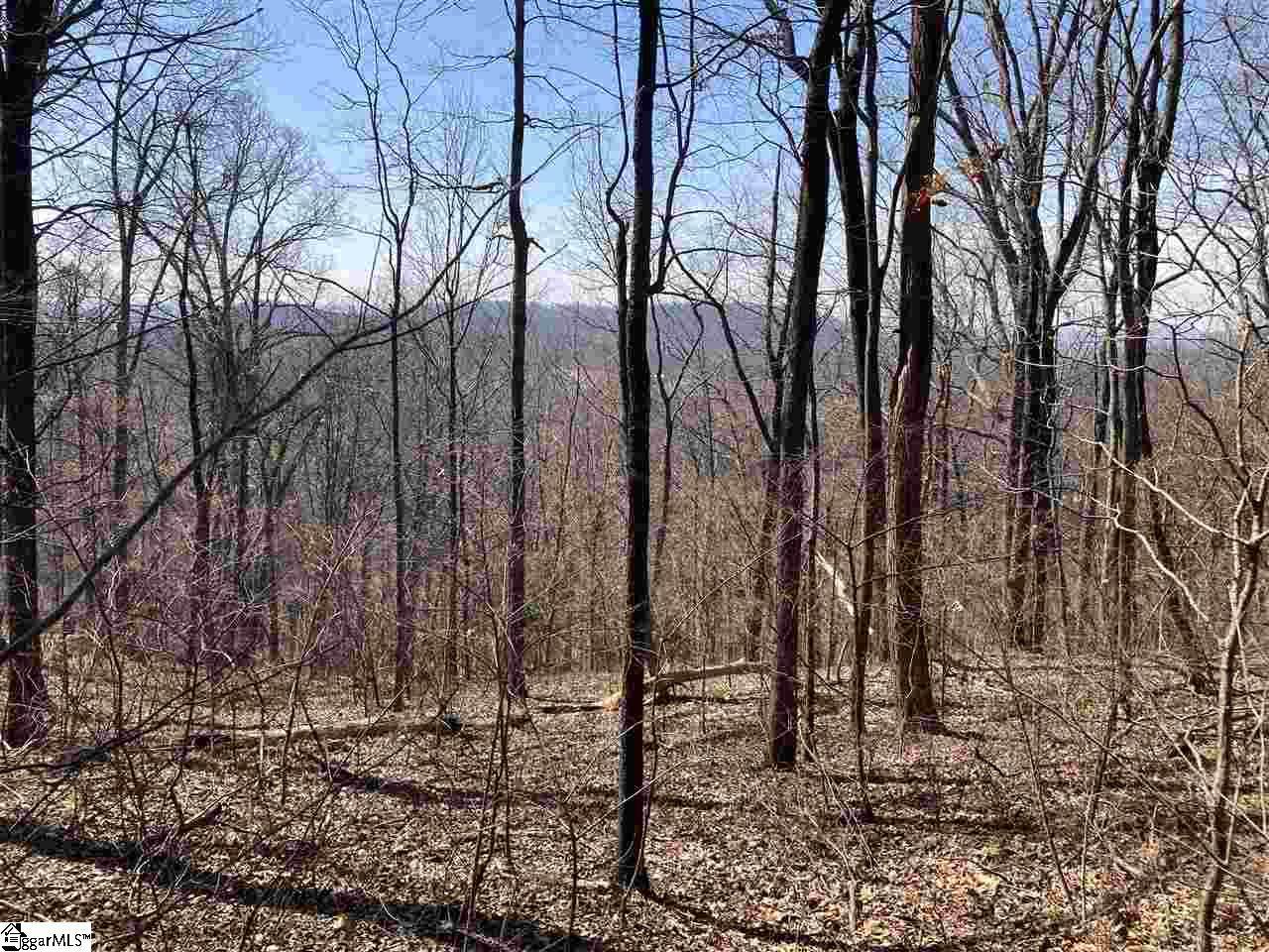 Outcrop Trail - Photo 1