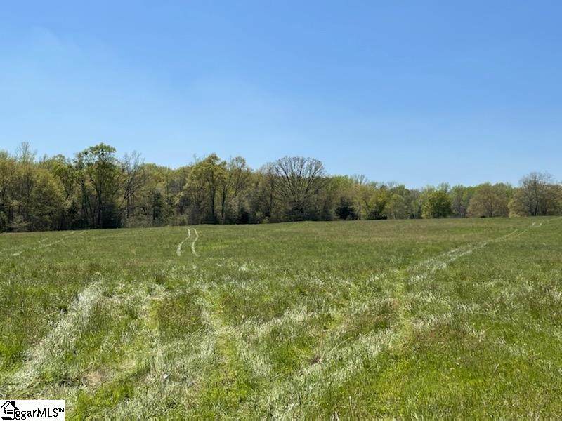 00 Neely Ferry Road - Photo 1