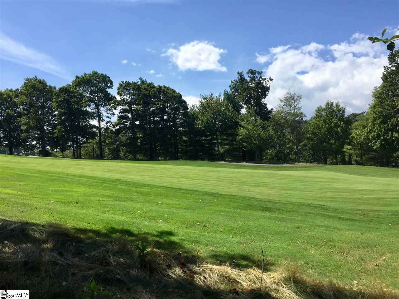 80 The Cliffs Parkway - Photo 1