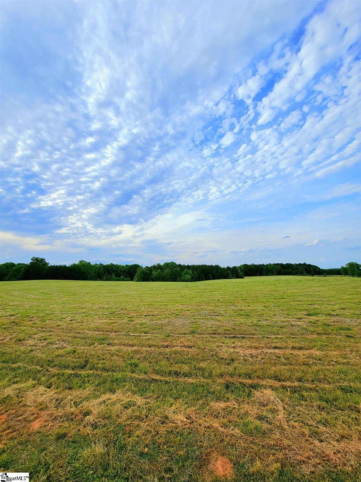 00 Vaughn Road - Photo 1