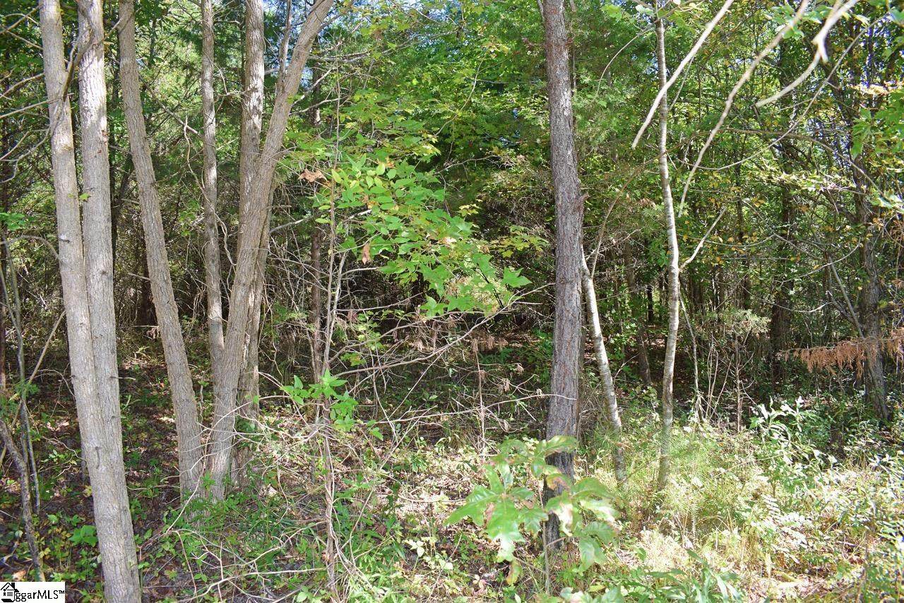 123 Walker Road - Photo 1