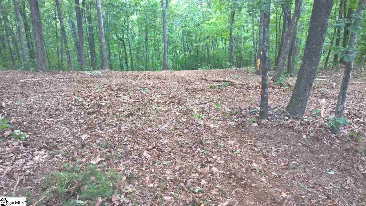 Plumley Summit Road - Photo 1
