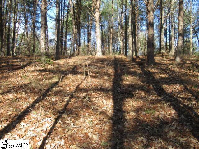 0 Sweet Shrub Court - Photo 1