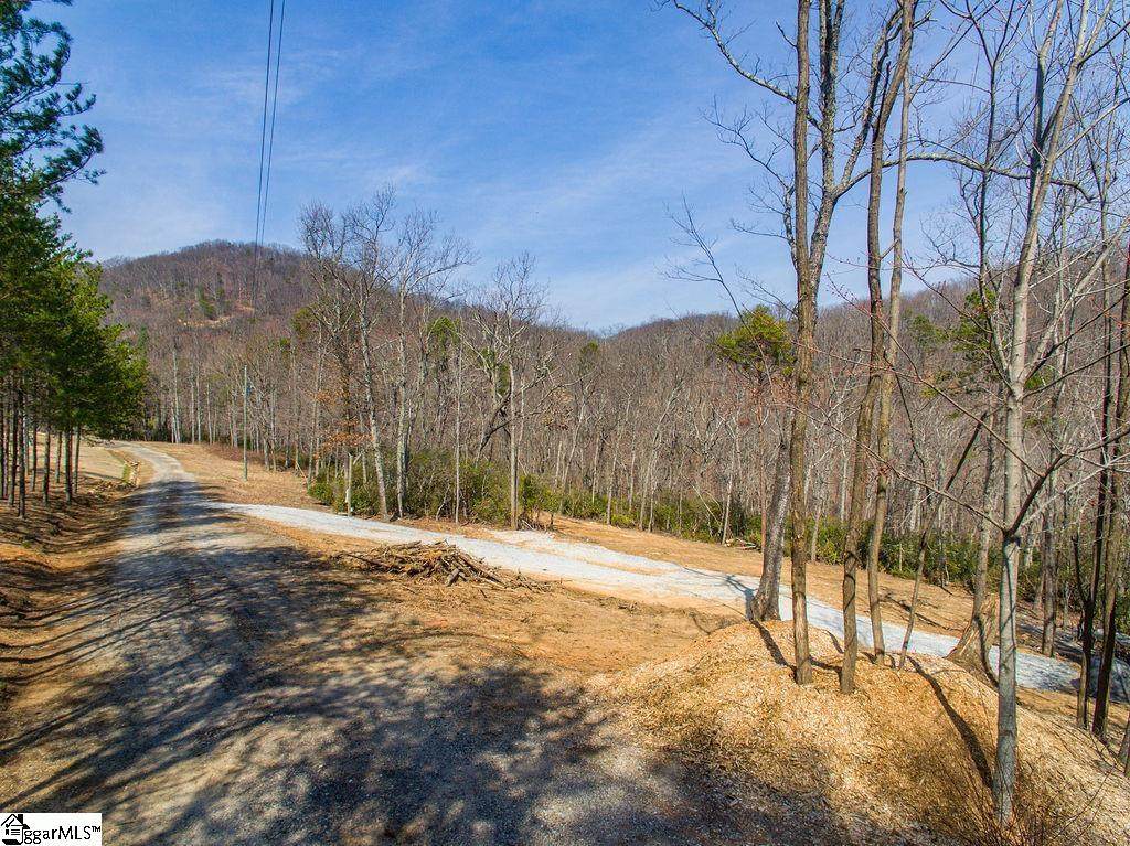157 Glassy Falls Trail - Photo 1
