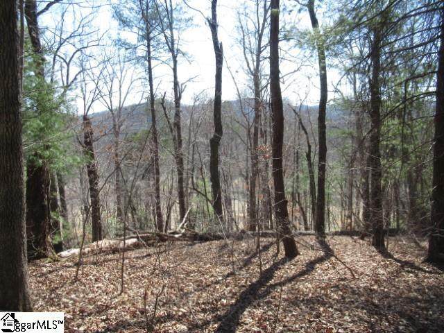 115 Oolenoy Court - Photo 1