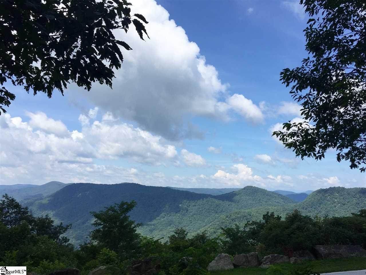 Panther Mountain Road - Photo 1