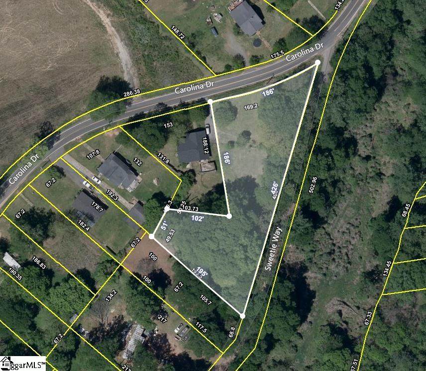 423 Carolina Drive Extension - Photo 1