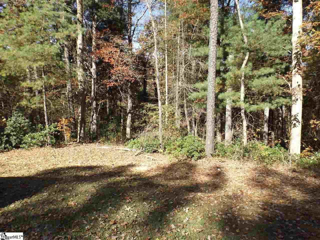 128 Oolenoy Court - Photo 1