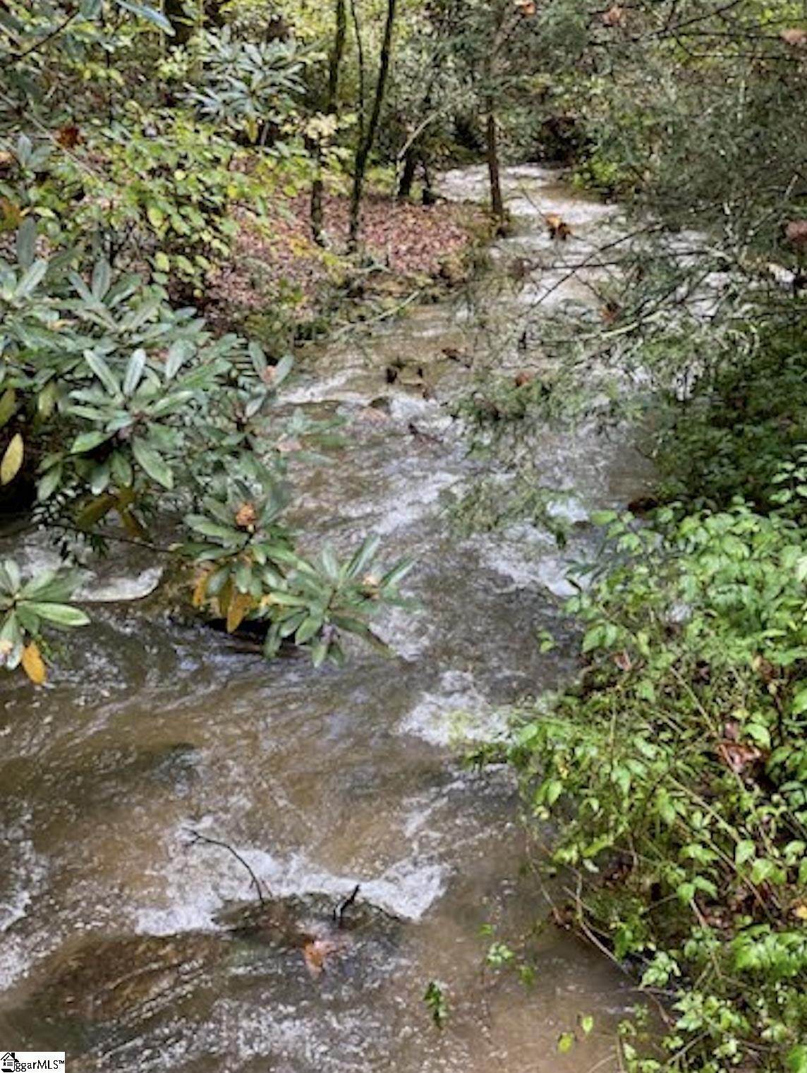 1000 Panther Park Trail - Photo 1
