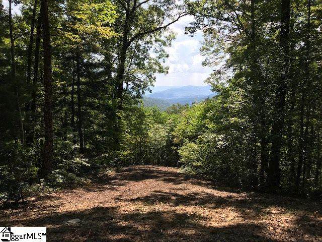 1335 Panther Park Trail - Photo 1