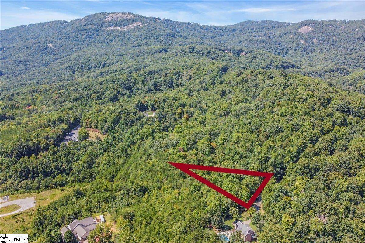 56 Angleblade Way - Photo 1