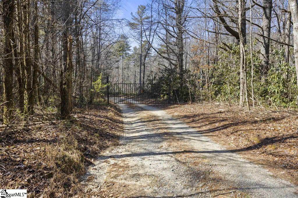 3772 Bear Paw Ridge Road - Photo 1