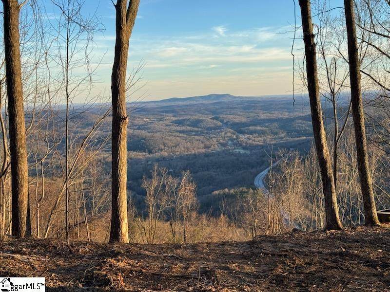 1531 Panther Park Trail - Photo 1