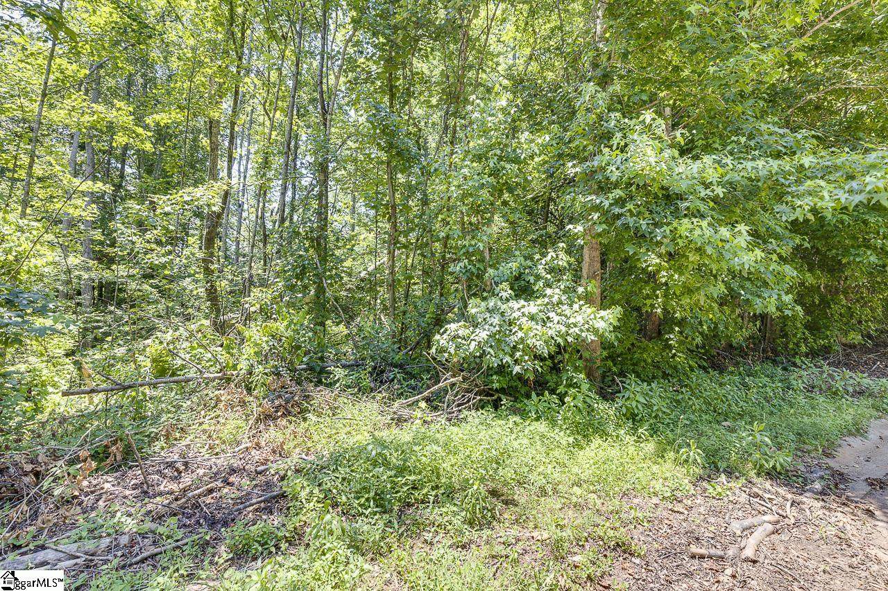 1208 Bradford Creek Lane - Photo 1