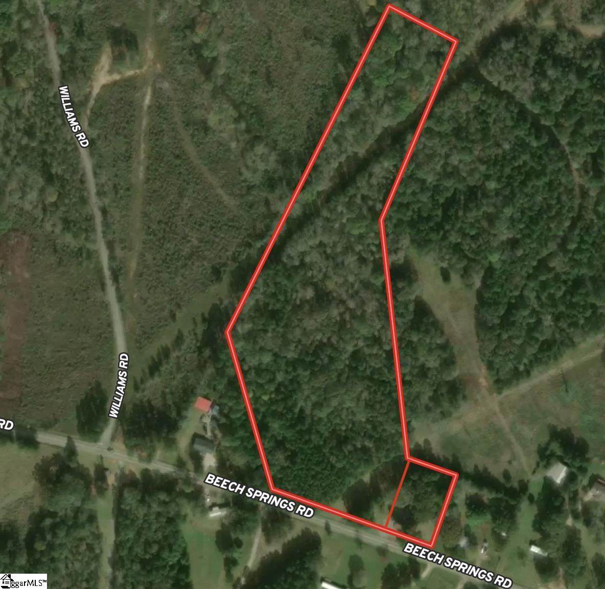 00 Beech Springs Road - Photo 1