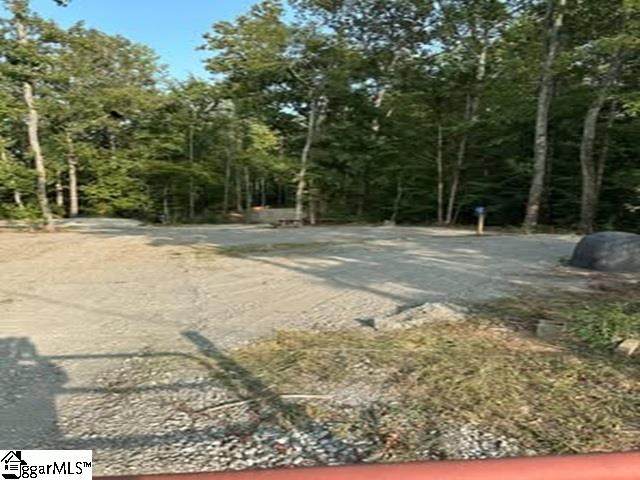 866 Charlies Creek Road - Photo 1