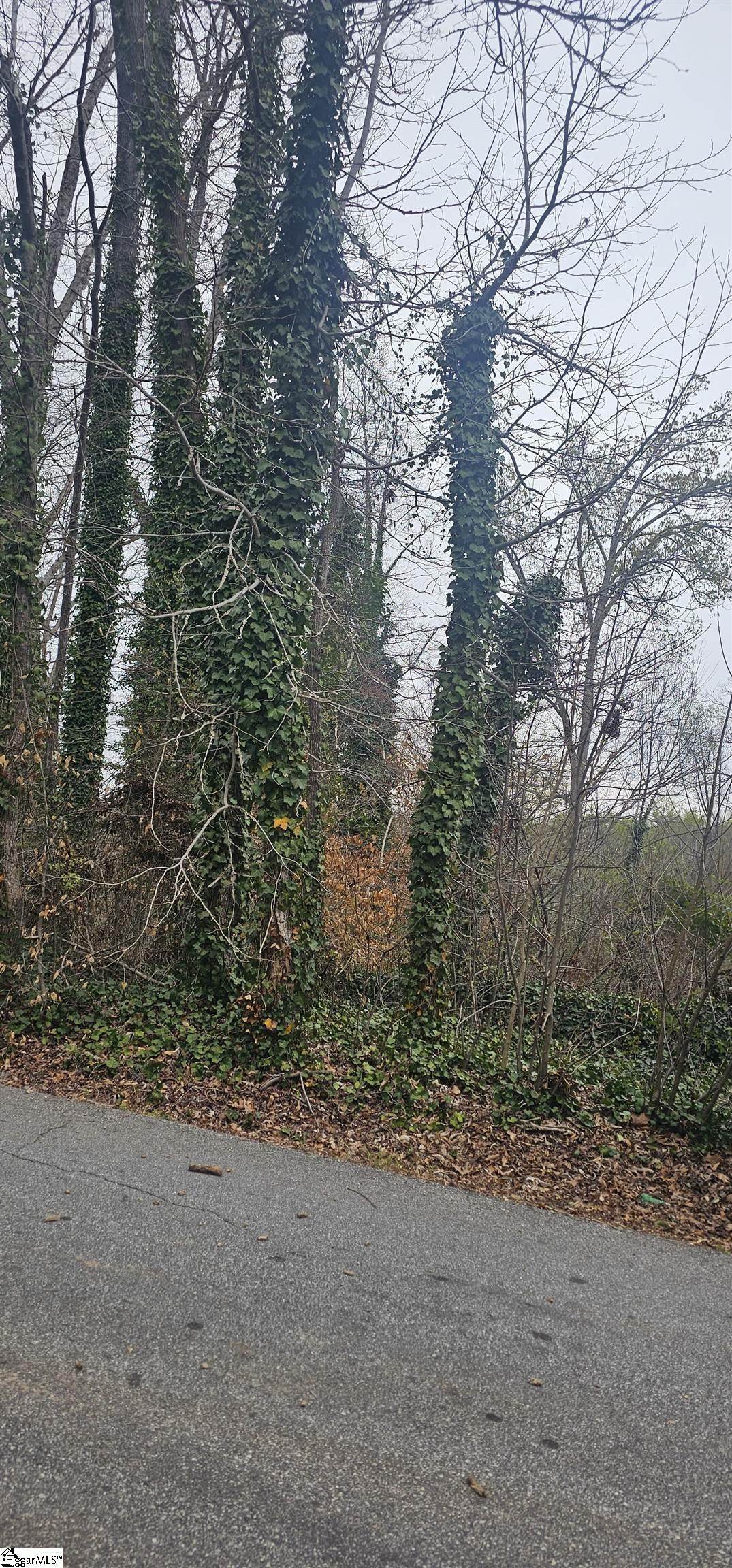 https://bt-photos.global.ssl.fastly.net/ggar/orig_boomver_1_1585208-2.jpg