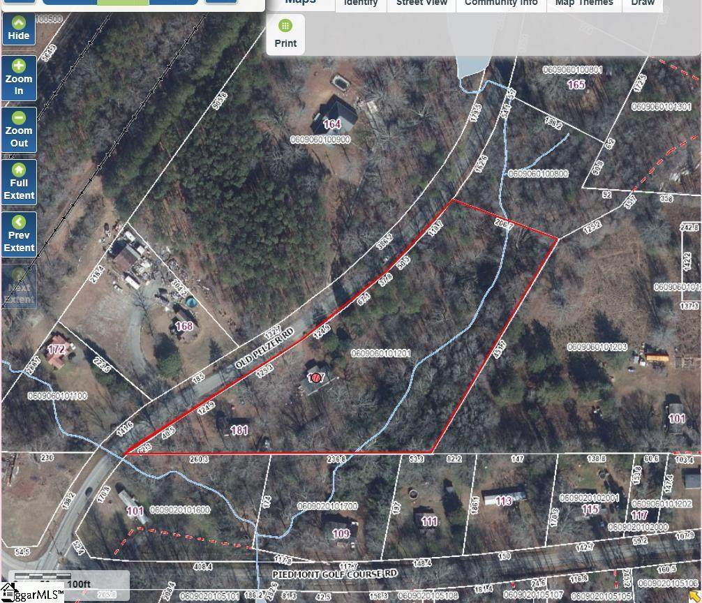 177 Old Pelzer Road - Photo 1