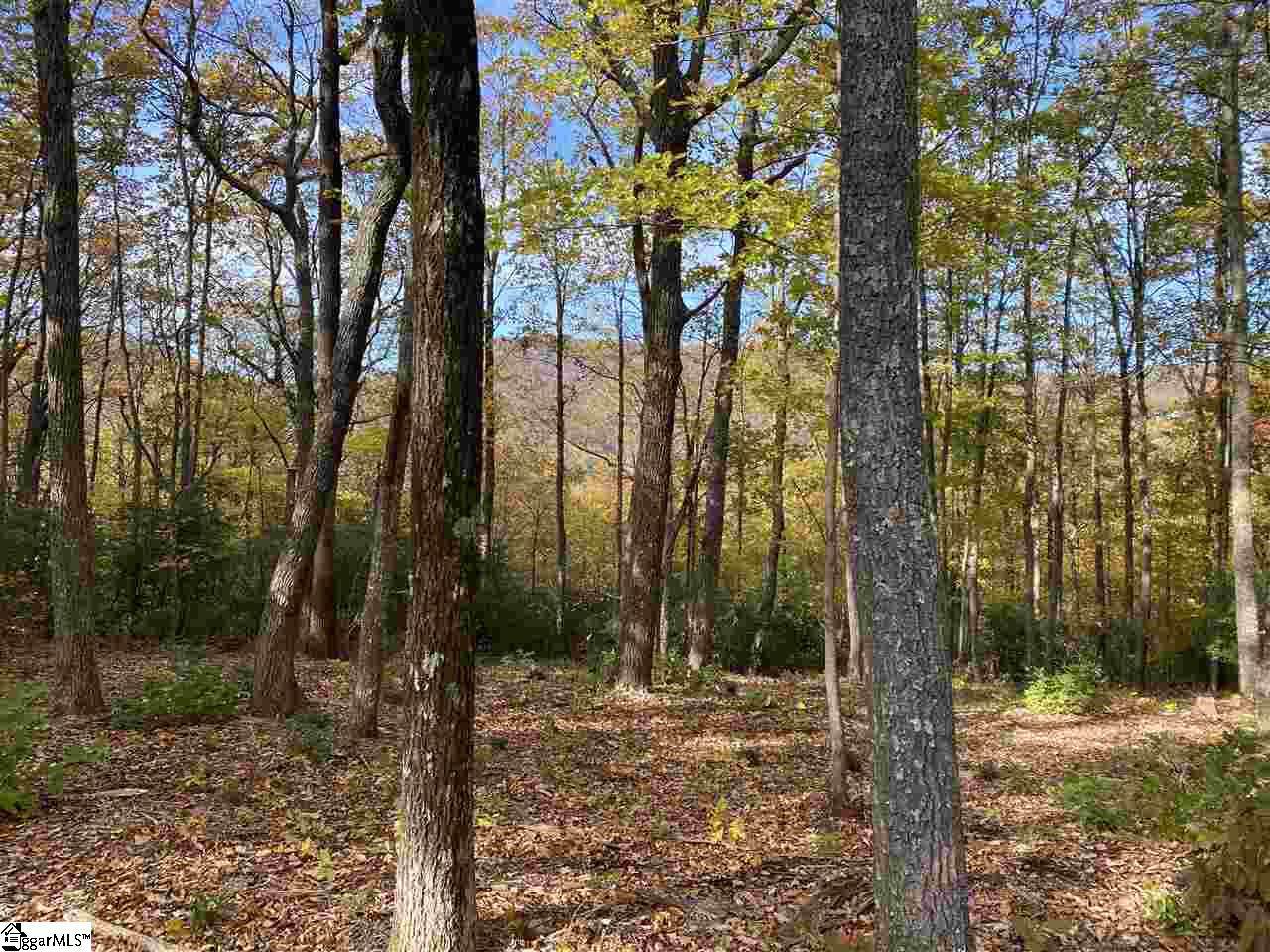 1526 Panther Park Trail - Photo 1